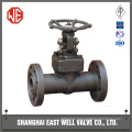 Gate valve forged steel